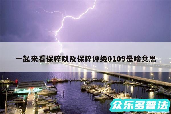 一起来看保粹以及保粹评级0109是啥意思