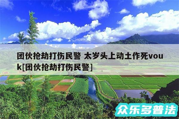 团伙抢劫打伤民警 太岁头上动土作死vouk及团伙抢劫打伤民警
