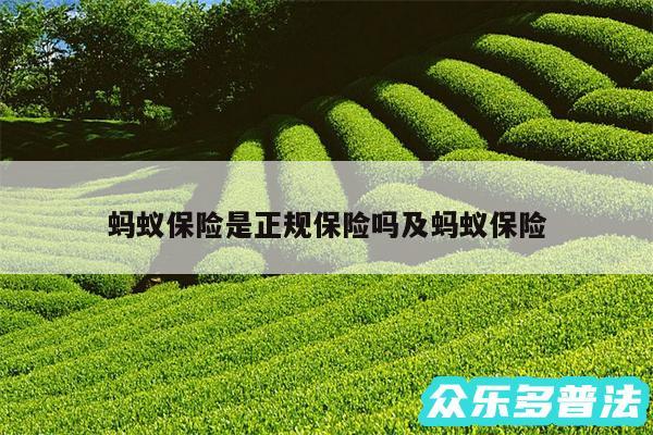 蚂蚁保险是正规保险吗及蚂蚁保险