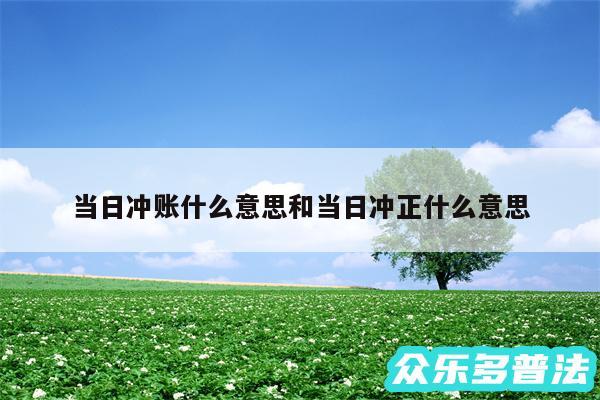 当日冲账什么意思和当日冲正什么意思