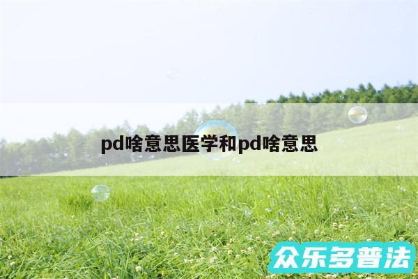 pd啥意思医学和pd啥意思