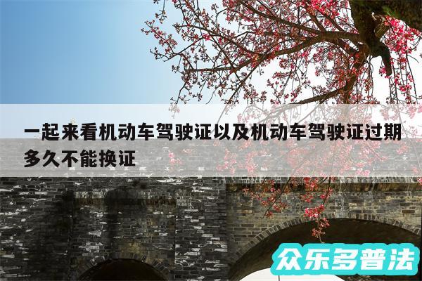 一起来看机动车驾驶证以及机动车驾驶证过期多久不能换证