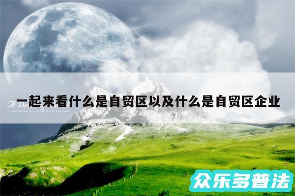 一起来看什么是自贸区以及什么是自贸区企业