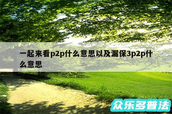 一起来看p2p什么意思以及漏保3p2p什么意思