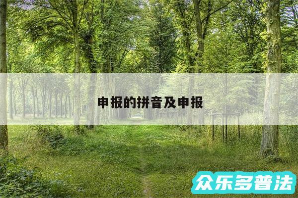 申报的拼音及申报