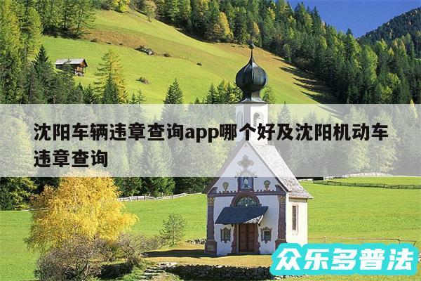 沈阳车辆违章查询app哪个好及沈阳机动车违章查询