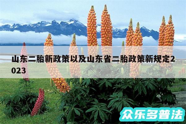 山东二胎新政策以及山东省二胎政策新规定2024