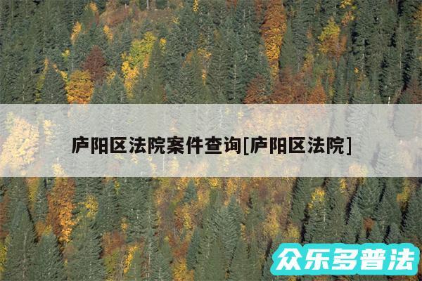 庐阳区法院案件查询及庐阳区法院