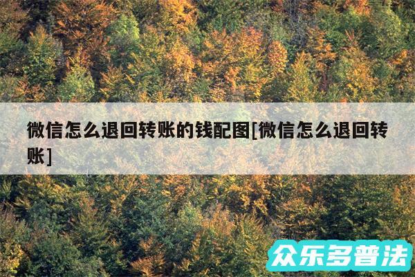 微信怎么退回转账的钱配图及微信怎么退回转账