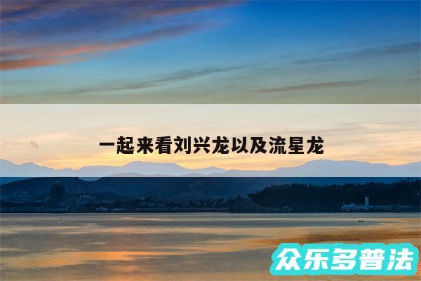 一起来看刘兴龙以及流星龙