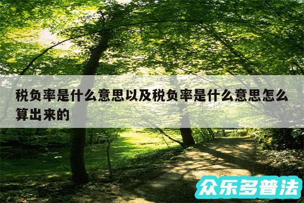 税负率是什么意思以及税负率是什么意思怎么算出来的