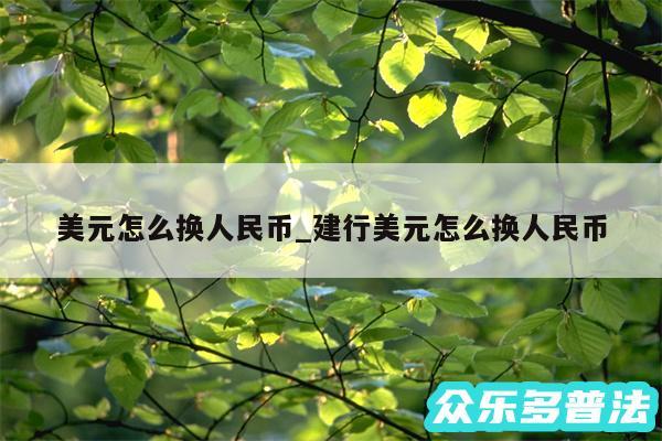 美元怎么换人民币_建行美元怎么换人民币