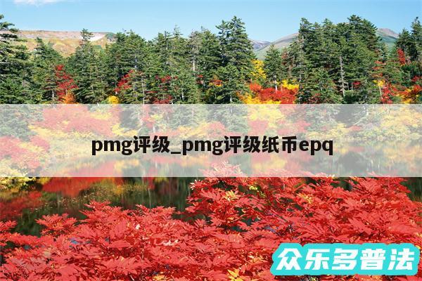 pmg评级_pmg评级纸币epq