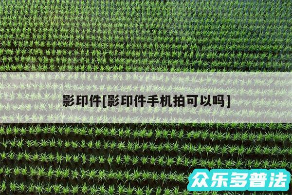 影印件及影印件手机拍可以吗