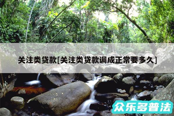 关注类贷款及关注类贷款调成正常要多久