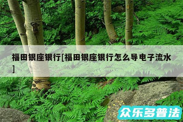 福田银座银行及福田银座银行怎么导电子流水