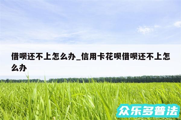 借呗还不上怎么办_信用卡花呗借呗还不上怎么办