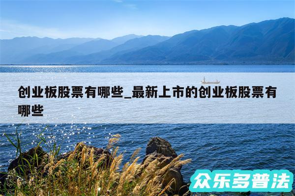 创业板股票有哪些_最新上市的创业板股票有哪些