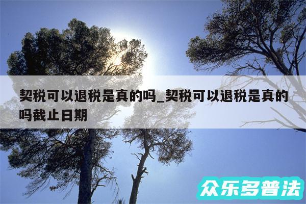 契税可以退税是真的吗_契税可以退税是真的吗截止日期