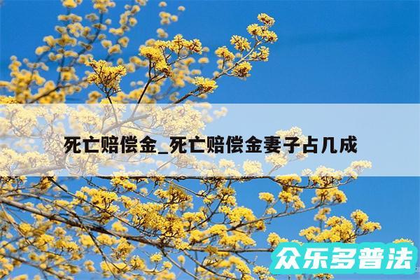 死亡赔偿金_死亡赔偿金妻子占几成