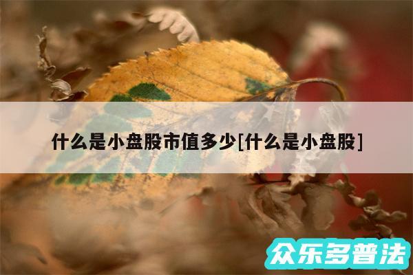 什么是小盘股市值多少及什么是小盘股