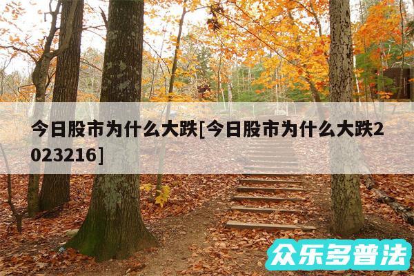 今日股市为什么大跌及今日股市为什么大跌2024216