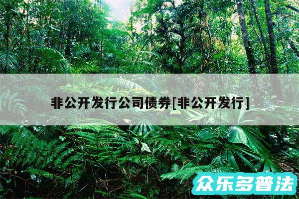 非公开发行公司债券及非公开发行