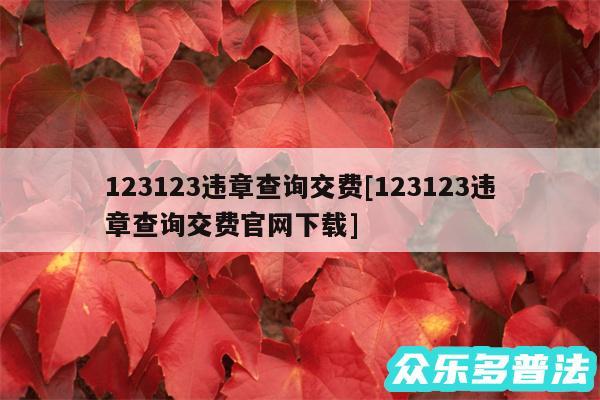123123违章查询交费及123123违章查询交费官网下载