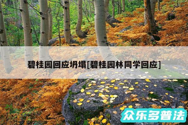 碧桂园回应坍塌及碧桂园林同学回应
