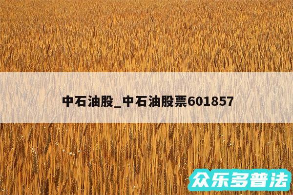 中石油股_中石油股票601857