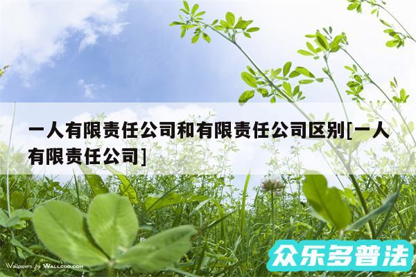 一人有限责任公司和有限责任公司区别及一人有限责任公司