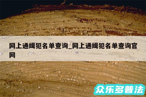 网上通缉犯名单查询_网上通缉犯名单查询官网
