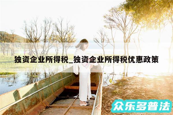 独资企业所得税_独资企业所得税优惠政策