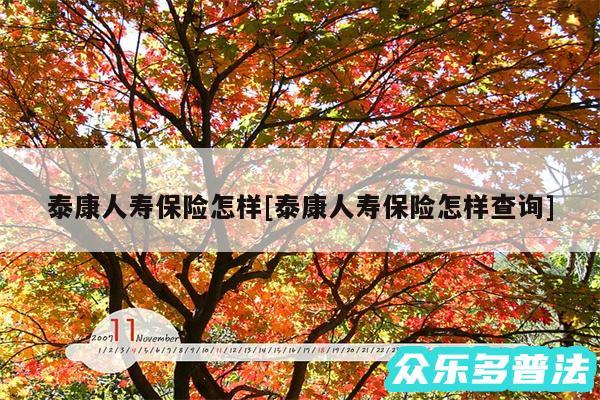 泰康人寿保险怎样及泰康人寿保险怎样查询