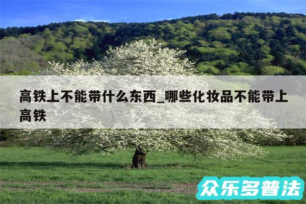 高铁上不能带什么东西_哪些化妆品不能带上高铁