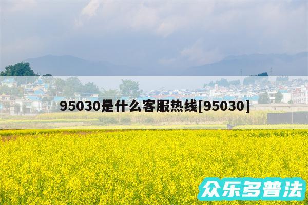 95030是什么客服热线及95030