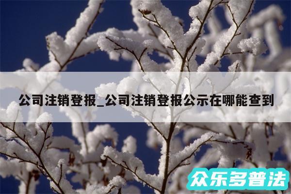 公司注销登报_公司注销登报公示在哪能查到