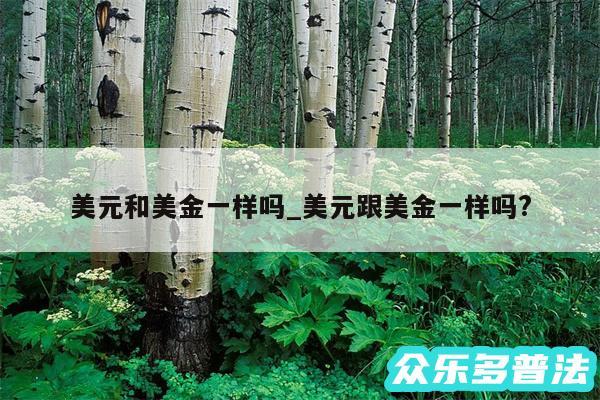 美元和美金一样吗_美元跟美金一样吗?