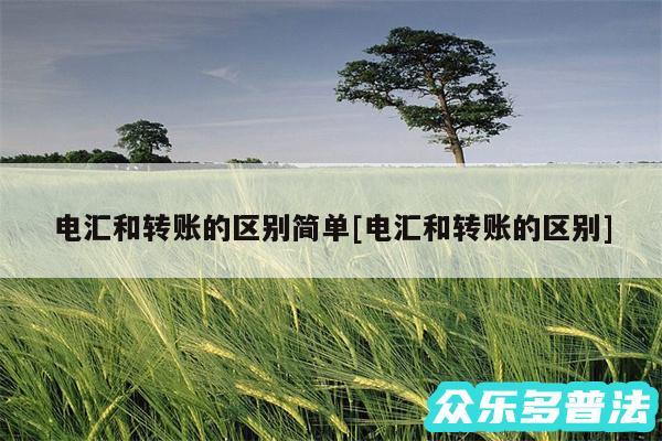 电汇和转账的区别简单及电汇和转账的区别