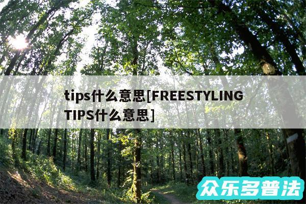 tips什么意思及FREESTYLINGTIPS什么意思