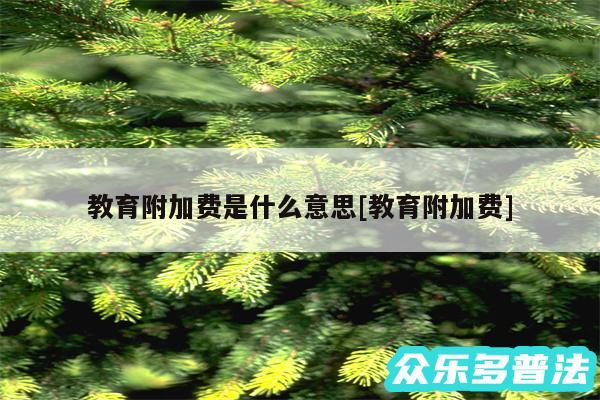 教育附加费是什么意思及教育附加费