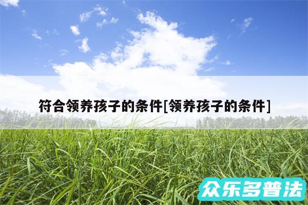 符合领养孩子的条件及领养孩子的条件