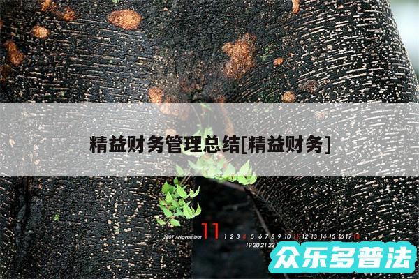 精益财务管理总结及精益财务