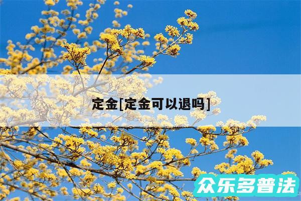 定金及定金可以退吗