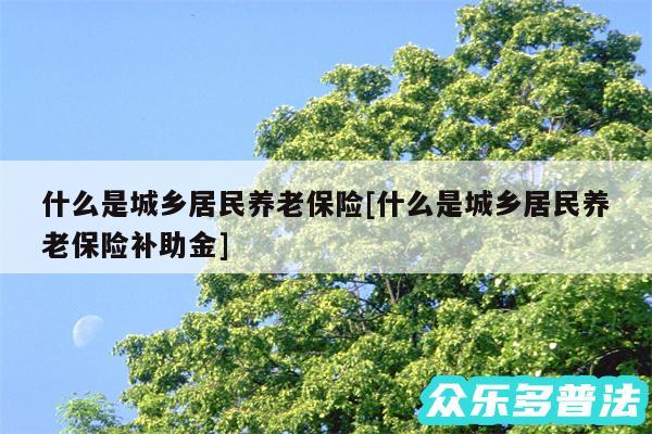 什么是城乡居民养老保险及什么是城乡居民养老保险补助金