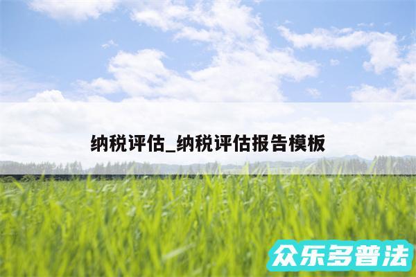 纳税评估_纳税评估报告模板