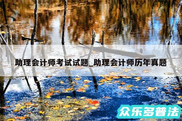 助理会计师考试试题_助理会计师历年真题