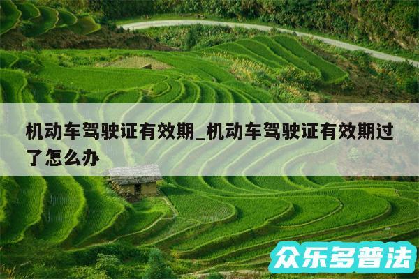 机动车驾驶证有效期_机动车驾驶证有效期过了怎么办