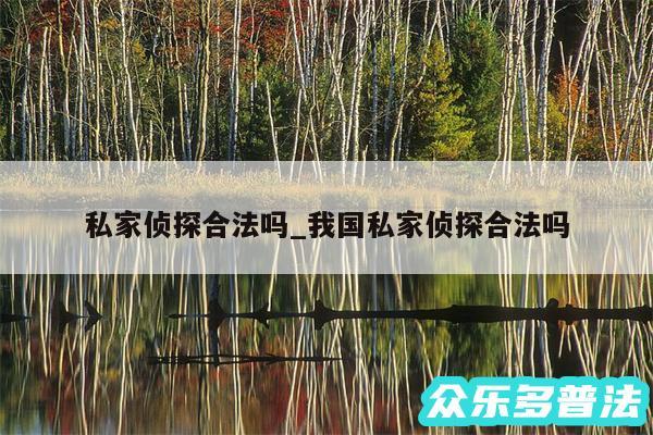 私家侦探合法吗_我国私家侦探合法吗