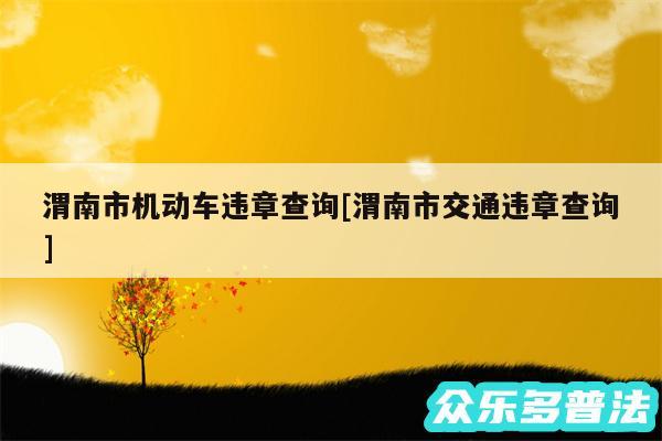 渭南市机动车违章查询及渭南市交通违章查询